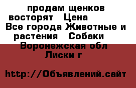 продам щенков восторят › Цена ­ 7 000 - Все города Животные и растения » Собаки   . Воронежская обл.,Лиски г.